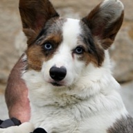 NICE COLORFUL LIFE DEL CASA FAVORE